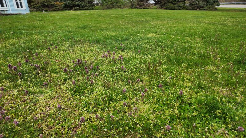 Safe for Kids and Wildlife