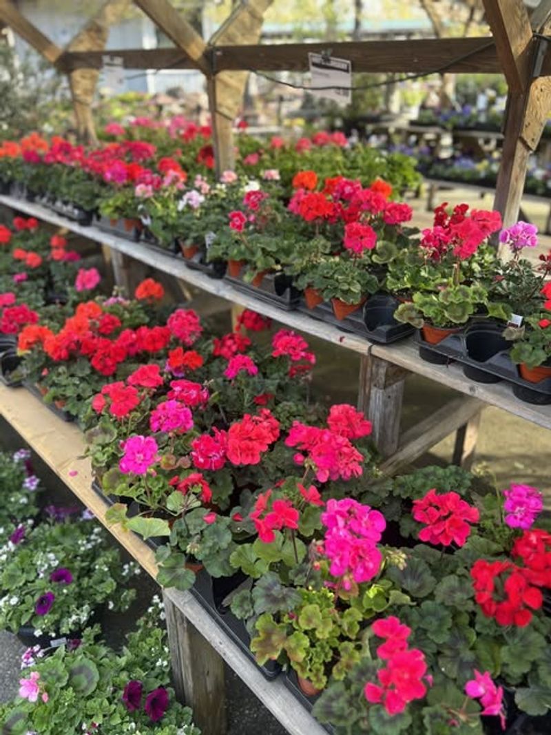 Versatile Design Options