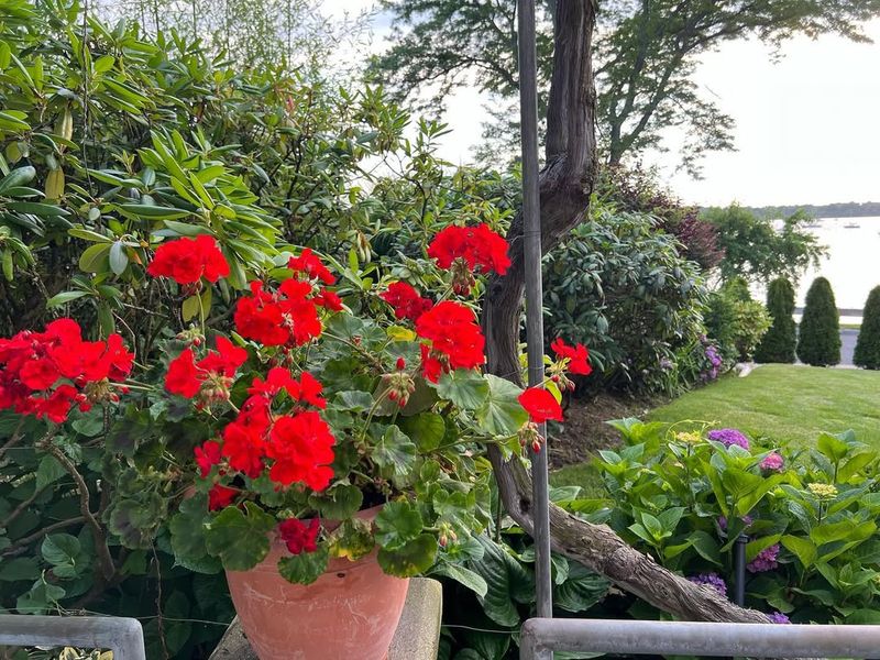 Air Quality Improvement For Outdoor Spaces