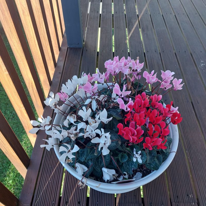 Easy Porch Display Options Fit Any Setup