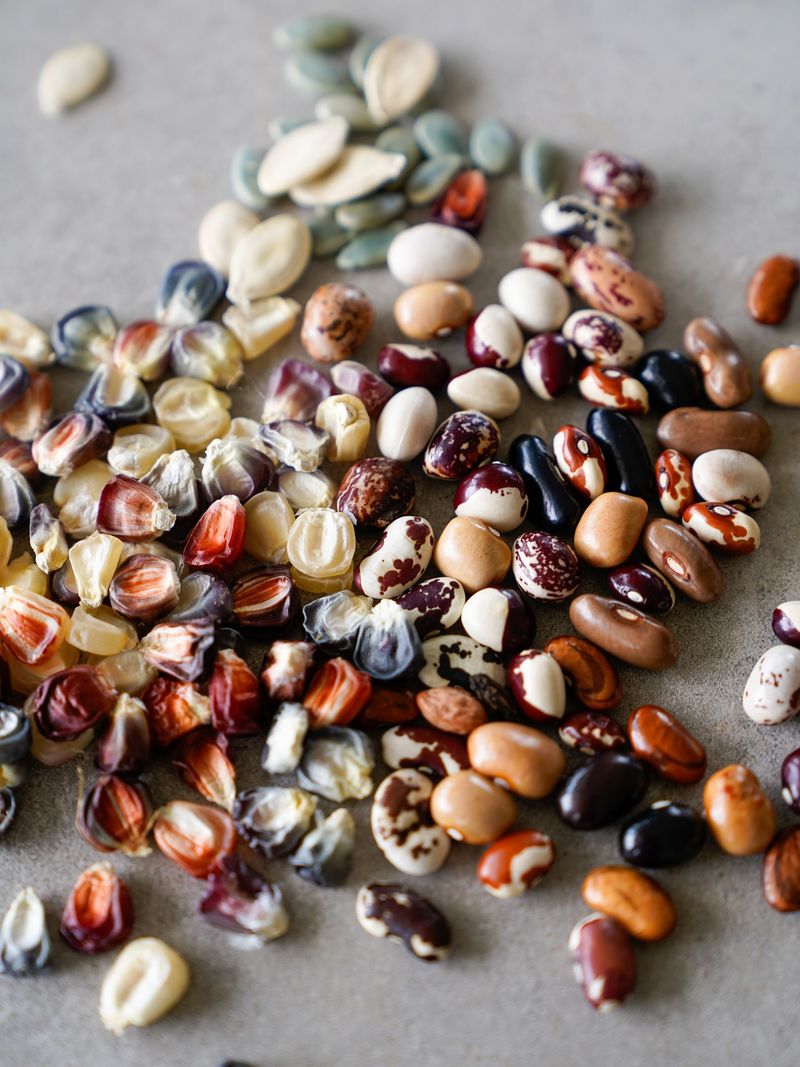 Ancient Native American Wisdom Meets Modern Gardens