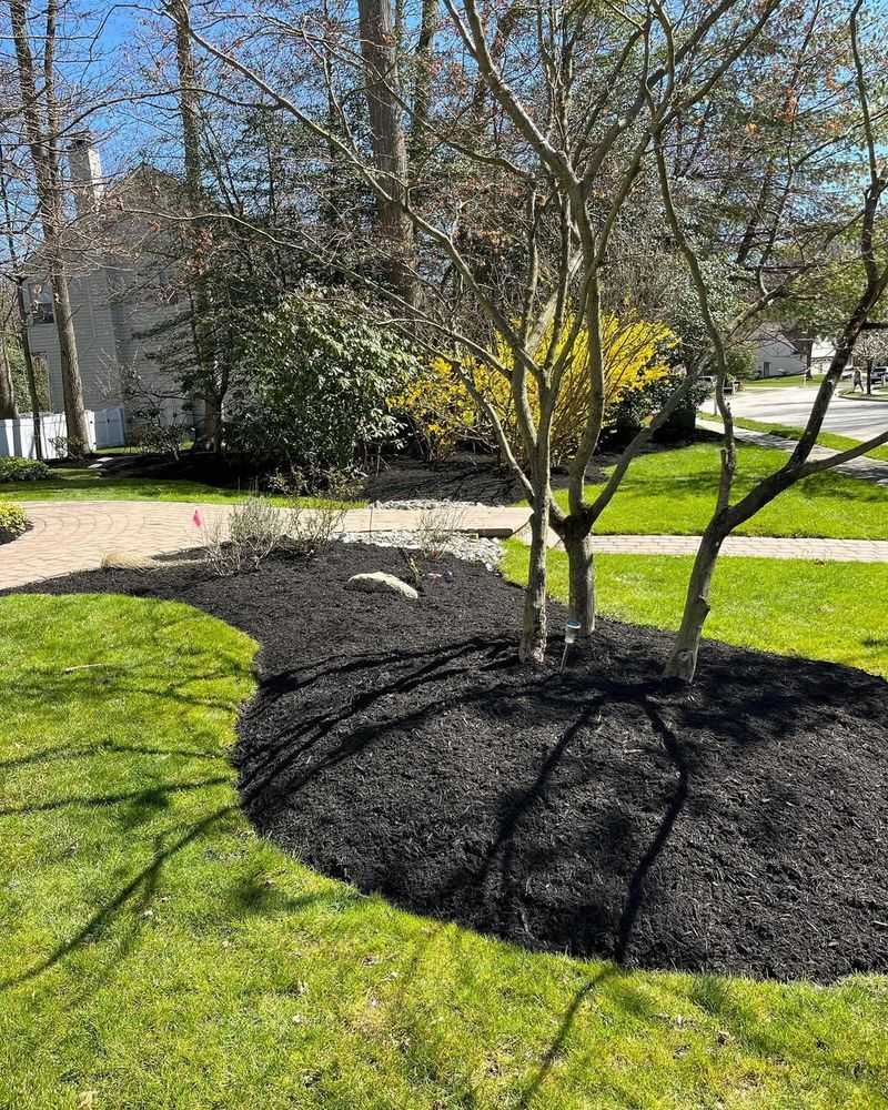 Makes Spring Cleanup Much Easier