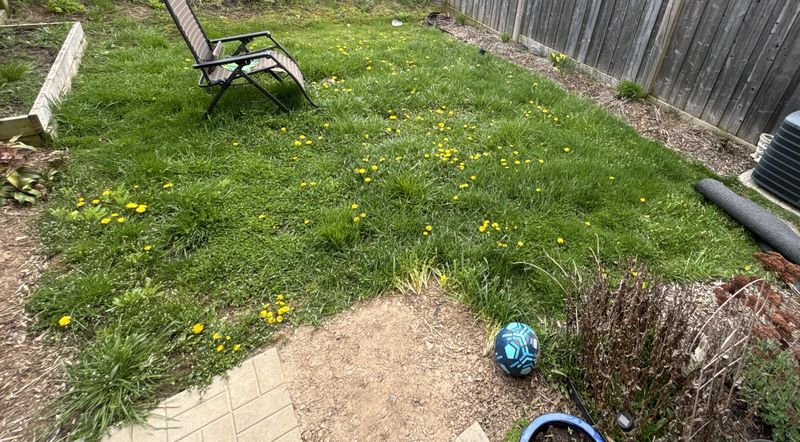 Makes Spring Cleanup Way Easier