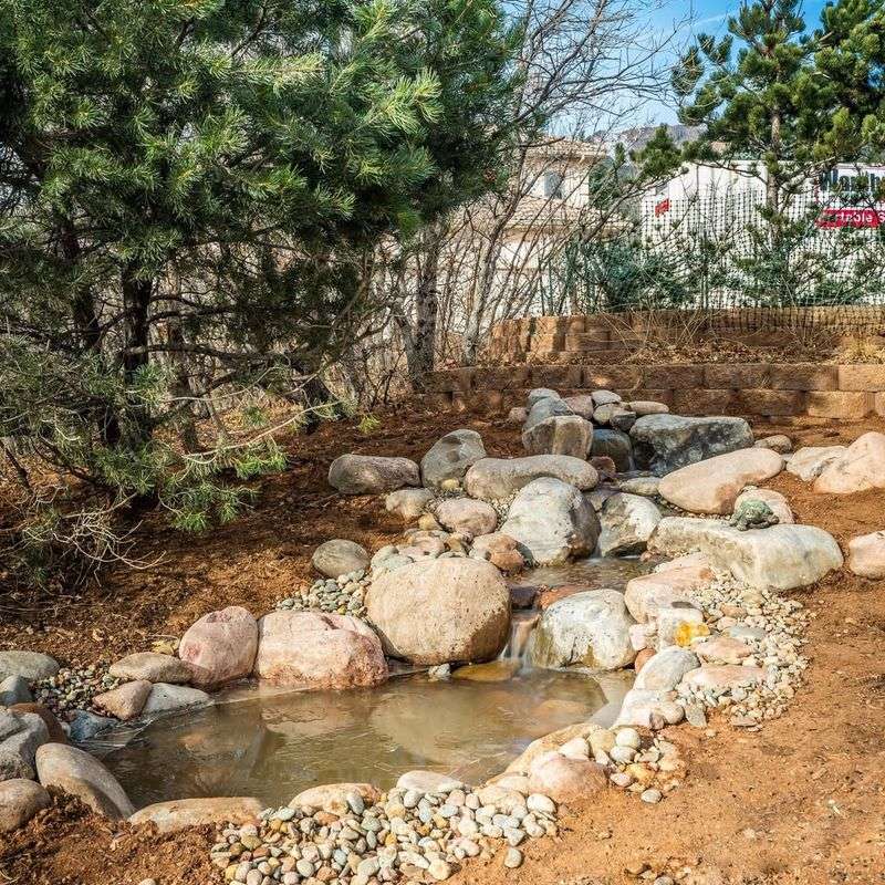 Impact On Local Ecosystem