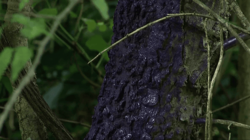 Preventing Hunting Accidents