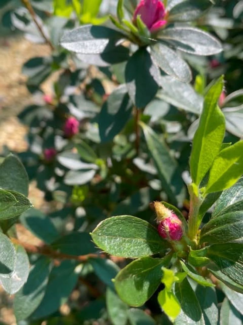 Wait And Watch For Changes