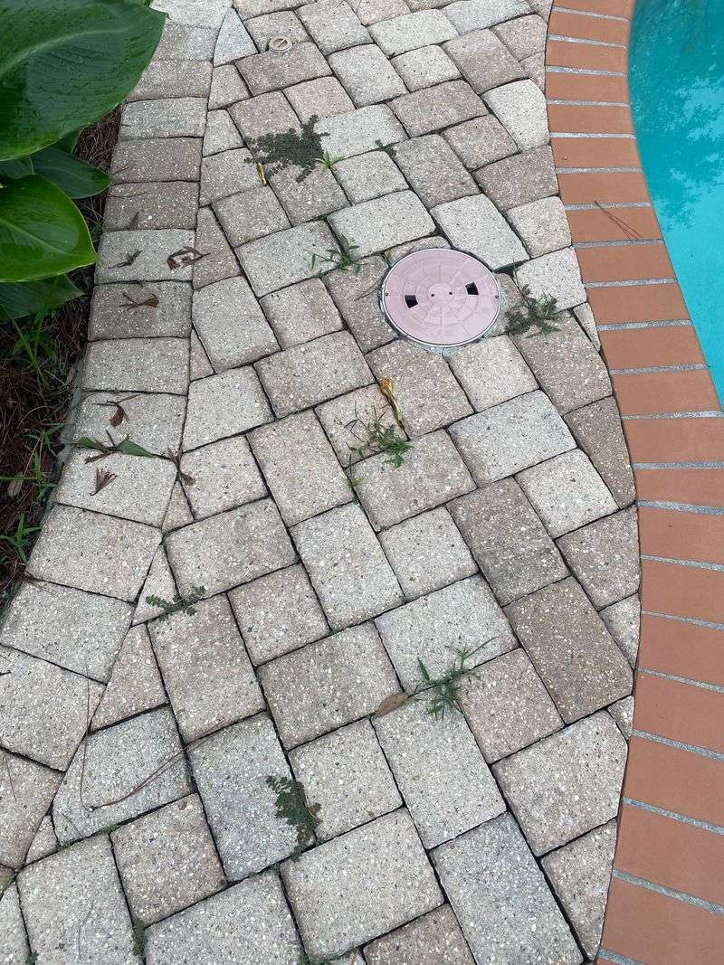 Use Polymeric Sand Between Pavers