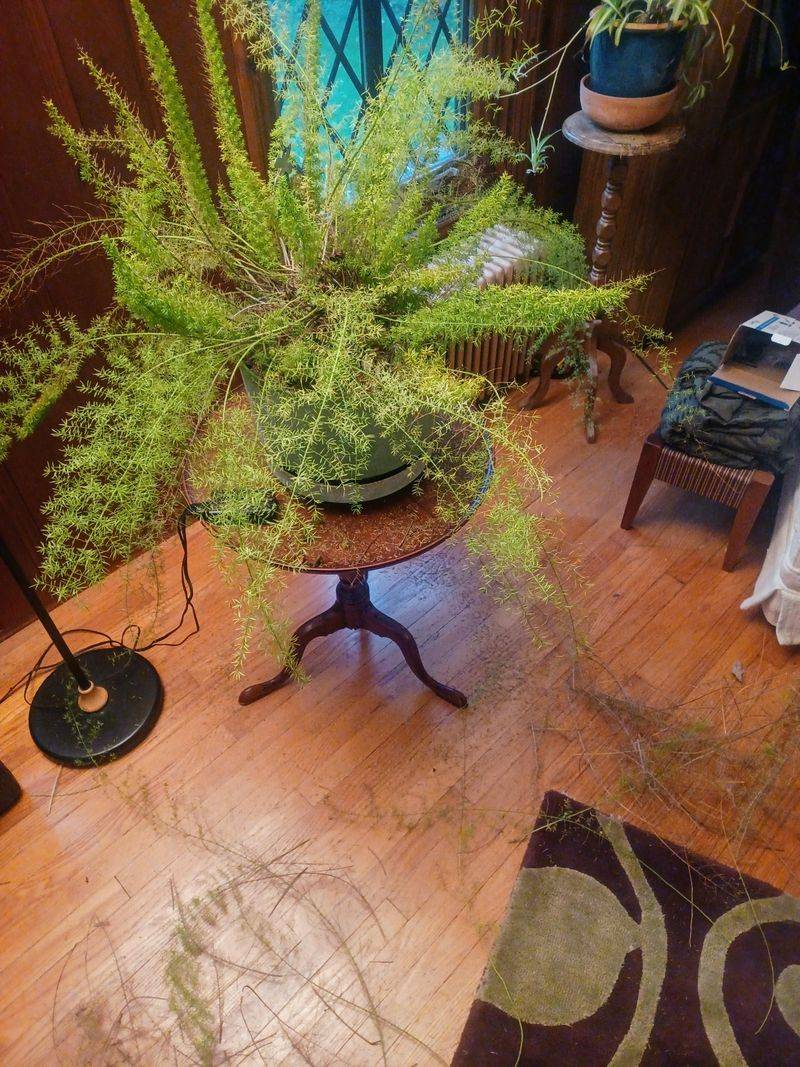 Water Wisely Before Cold Snaps