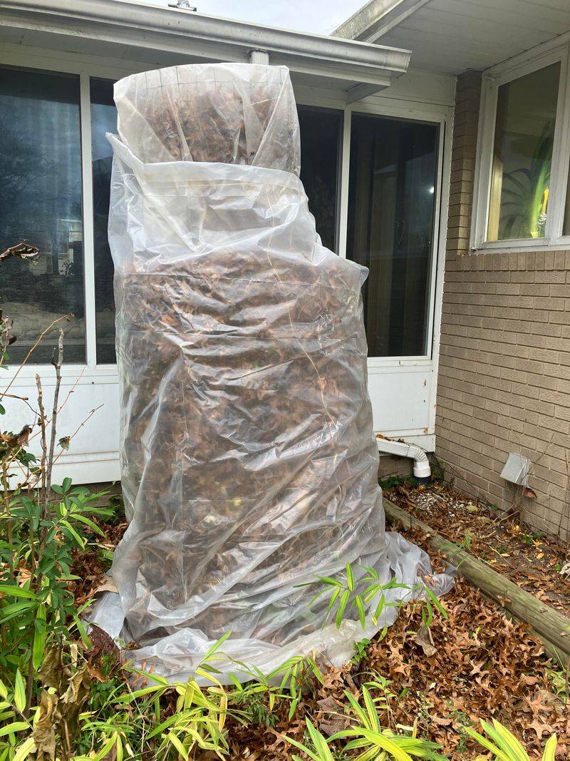 Wrap Tree Trunks with Insulating Materials