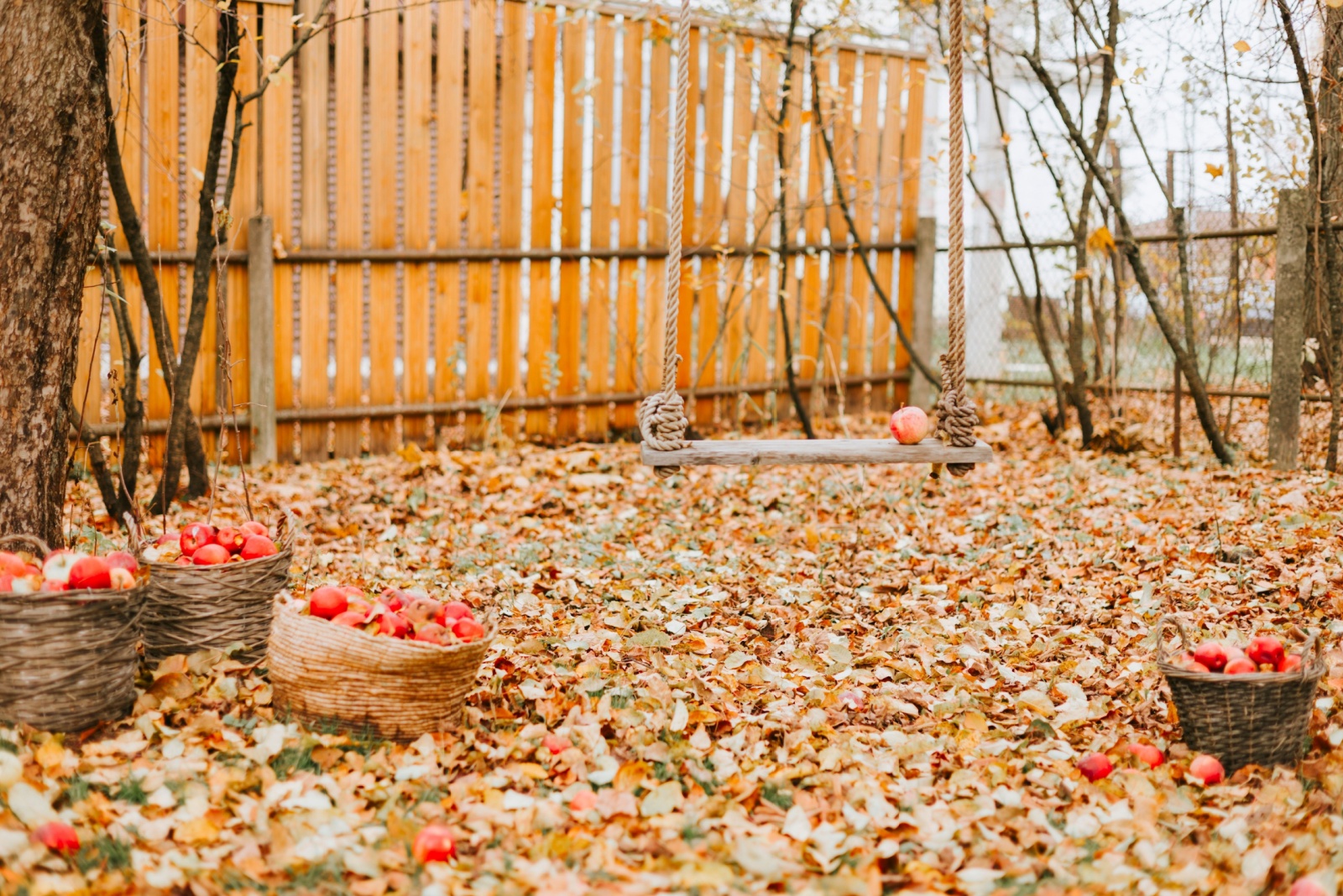 Are Nevada Homeowners Responsible For Leaves From A Neighbor’s Tree