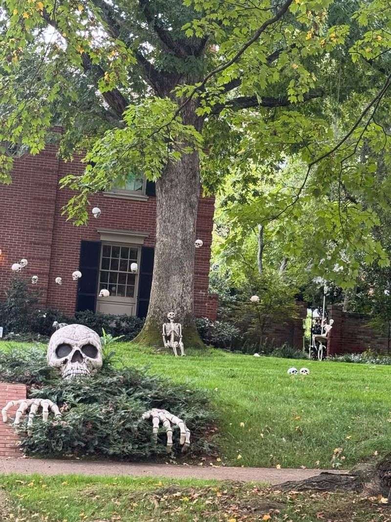 Texas Law Says You Handle Your Own Yard