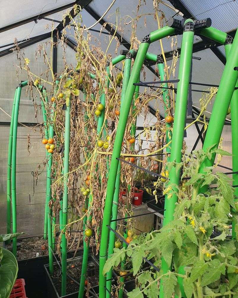 Spots With Poor Air Circulation