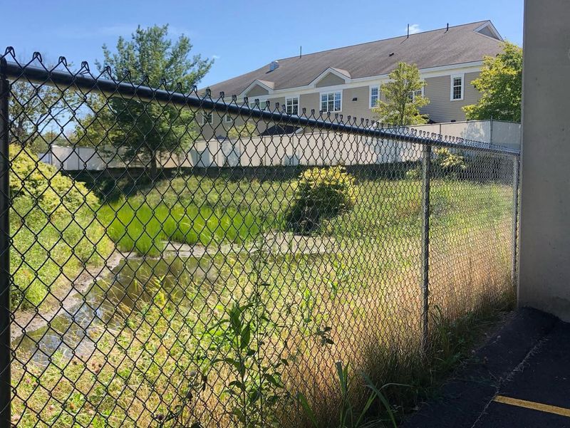 Chain-Link Fencing Around Front Yards