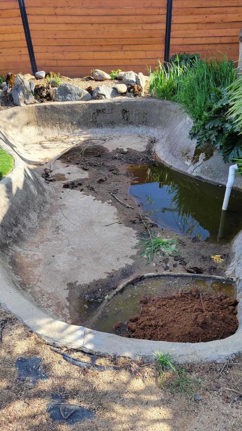 Backyard Ponds And Water Features