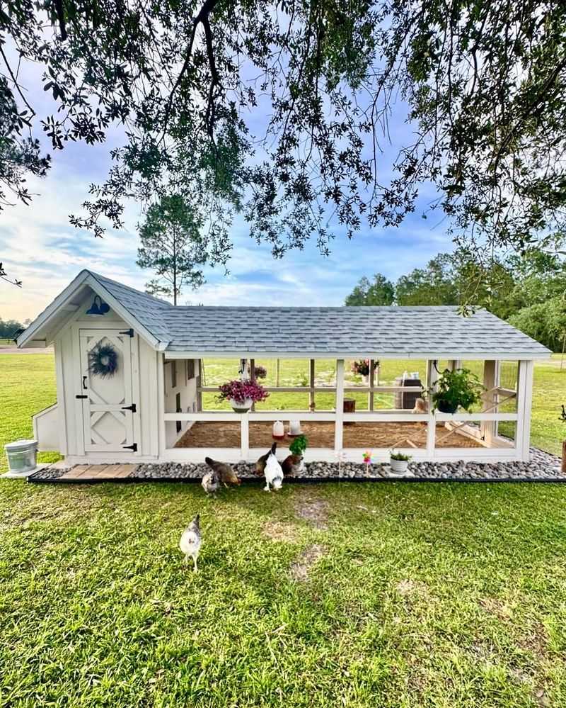 Backyard Chicken Coops