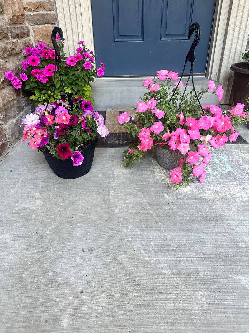 Fragrant Evening Blooms