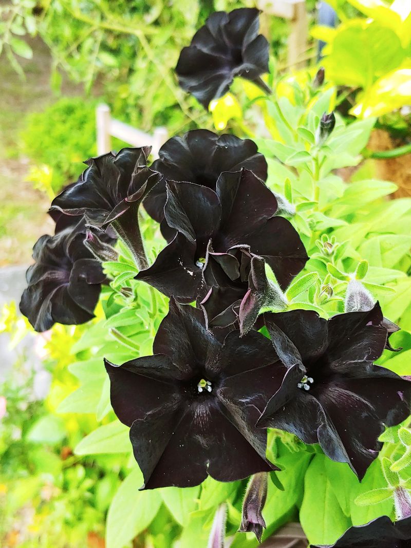 Require Minimal Maintenance Effort