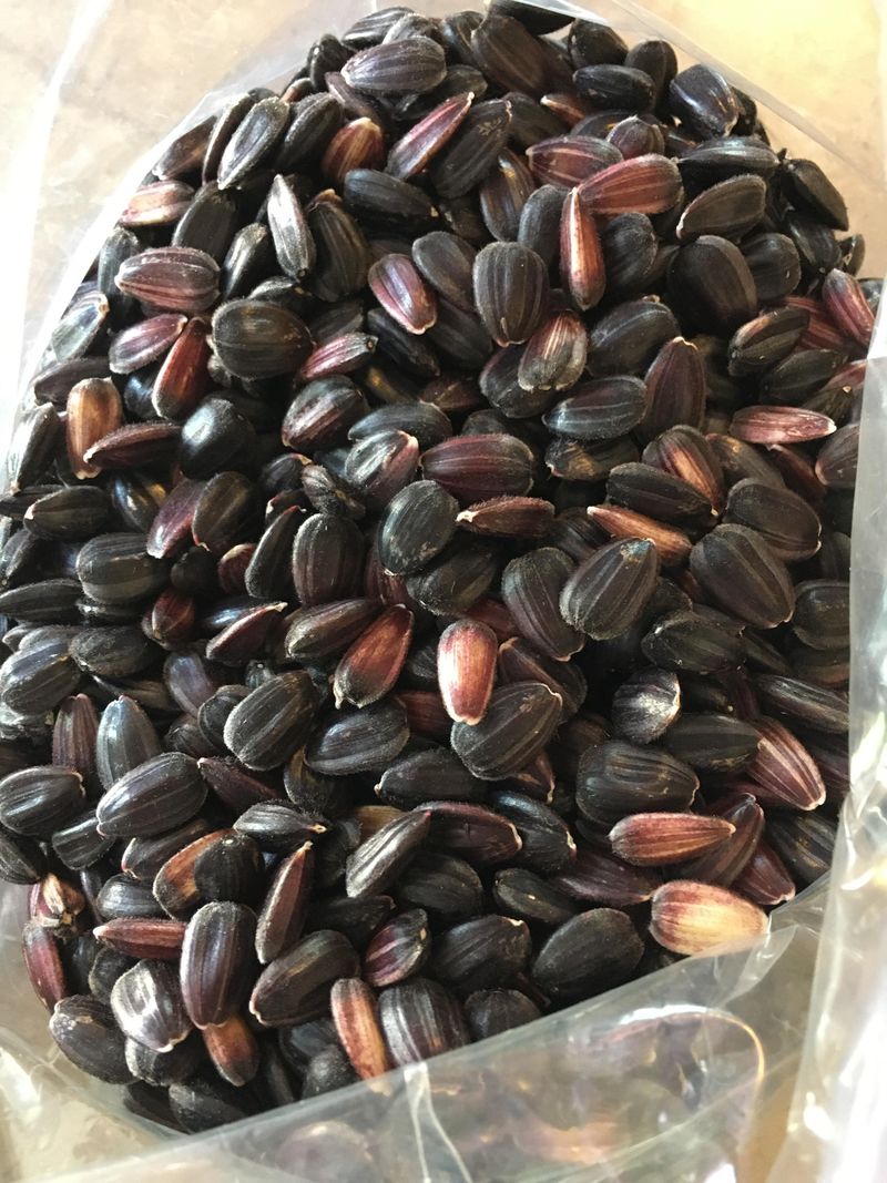 Easy To Store And Stays Fresh Longer