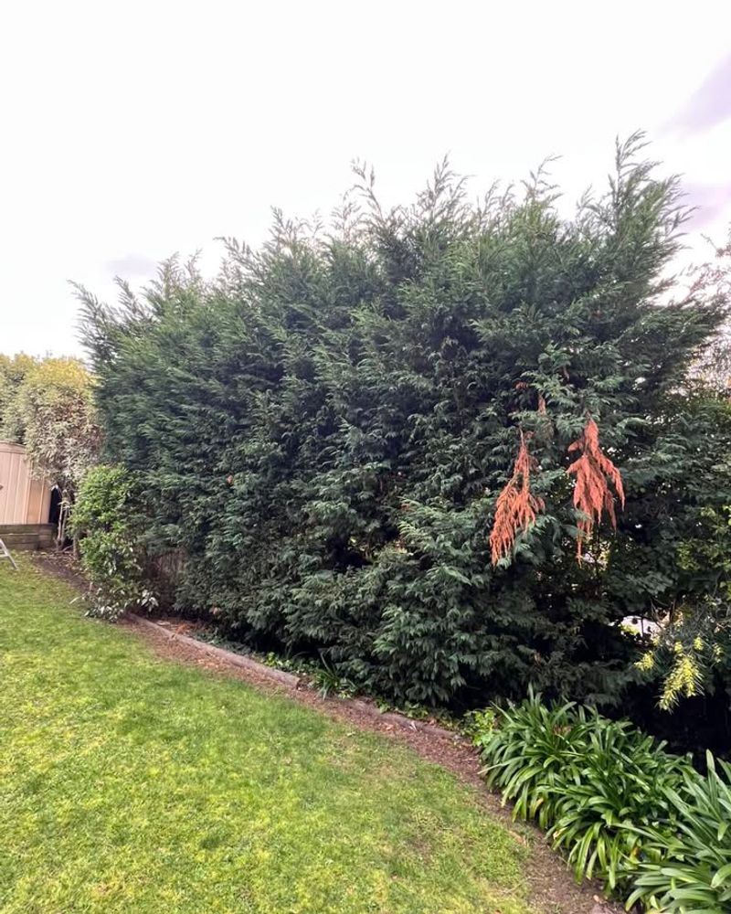 Keep The Cuttings On Your Side