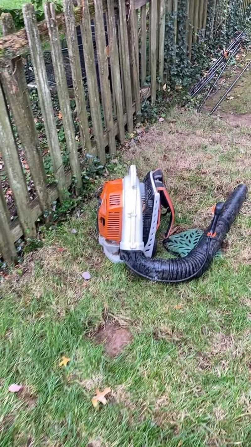 Clear Leaves Before You Mow