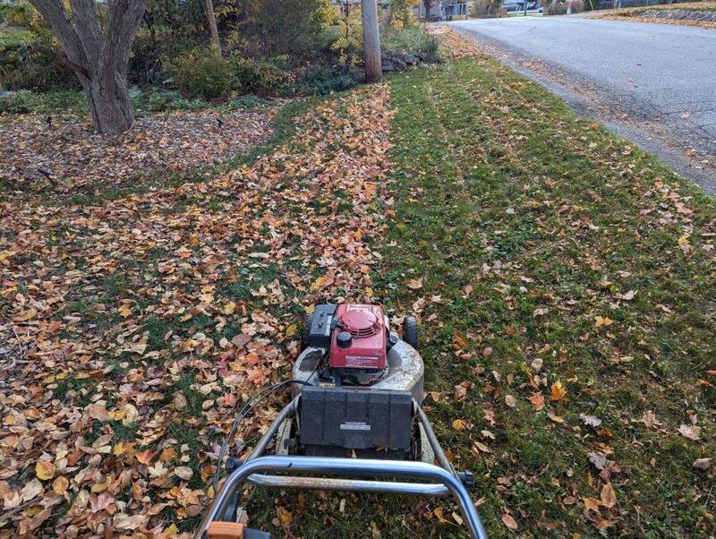 Mulch Leaves While Mowing Your Lawn