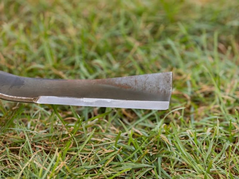 Sharpen Your Mower Blade Before Winter