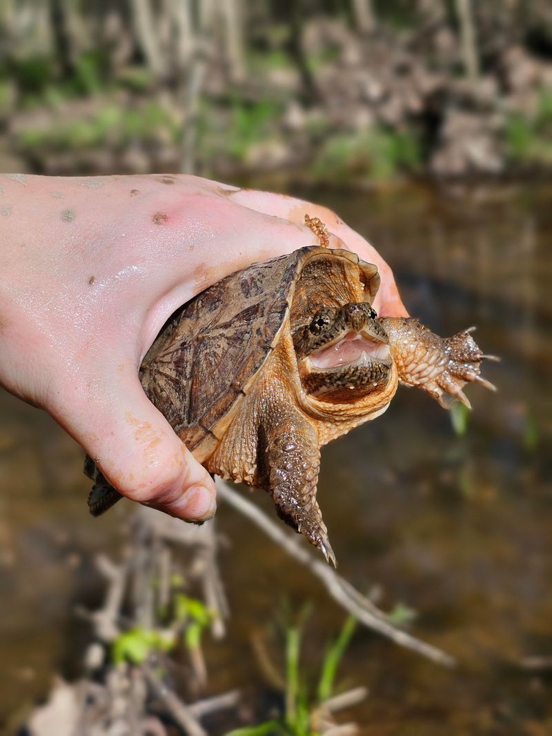 Move It To The Nearest Water Source