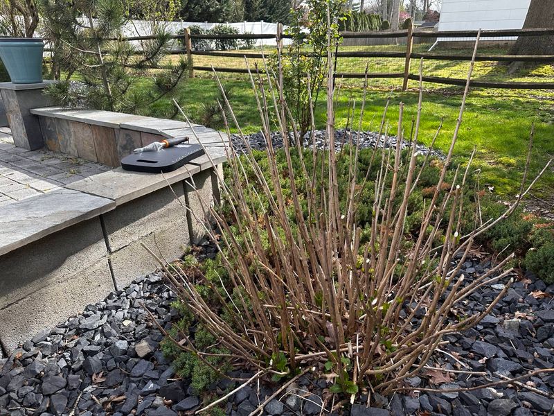 Check Weather Forecasts Regularly During Winter