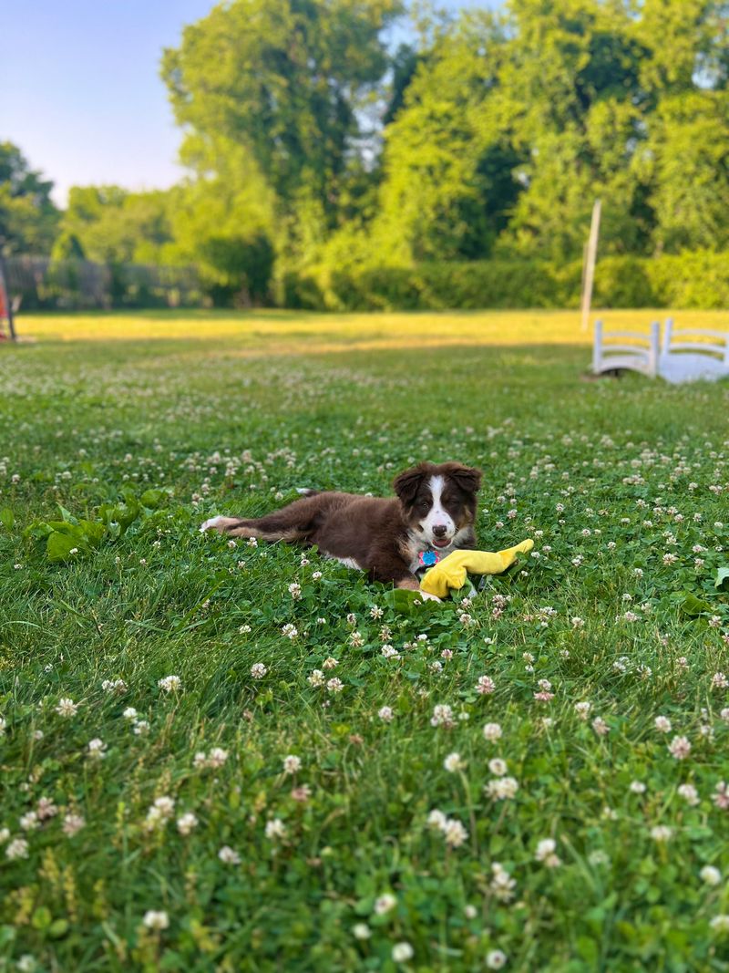 Don't Let Small Children Or Pets Wander Outside Alone