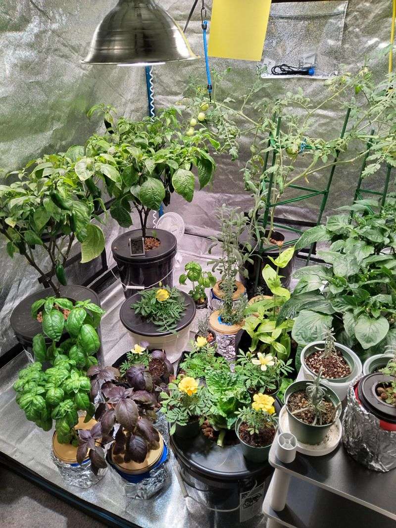 Growing Year-Round Without Seasonal Limits