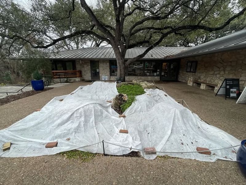 Checking Weather Forecasts Regularly