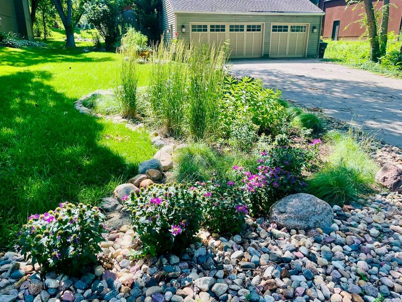 Unmanaged Rain Runoff Systems