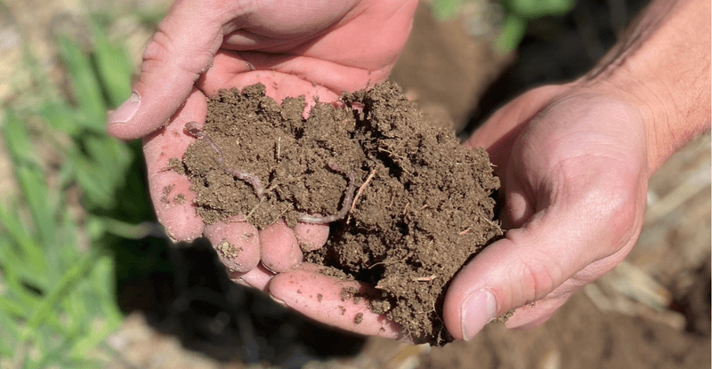 Unlocks Nutrients Already Hiding In Your Soil