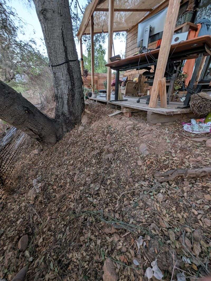 Reduces Winter Soil Erosion