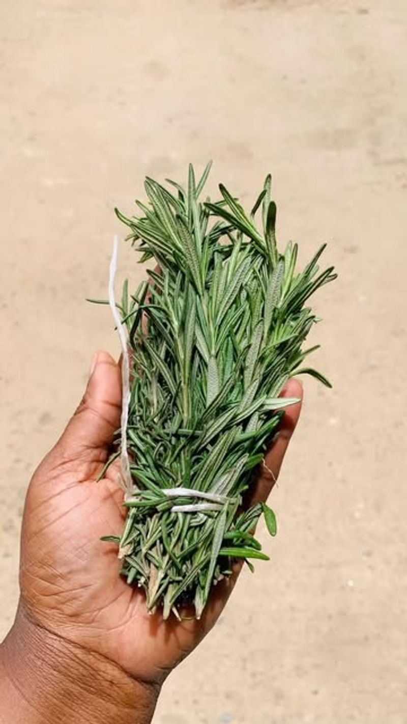 Thyme And Rosemary
