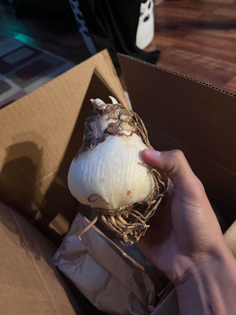 Garage Corners Work as Winter Shelters