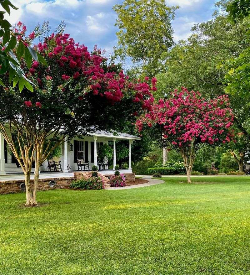 Compact Sizes Fit Smaller Yards