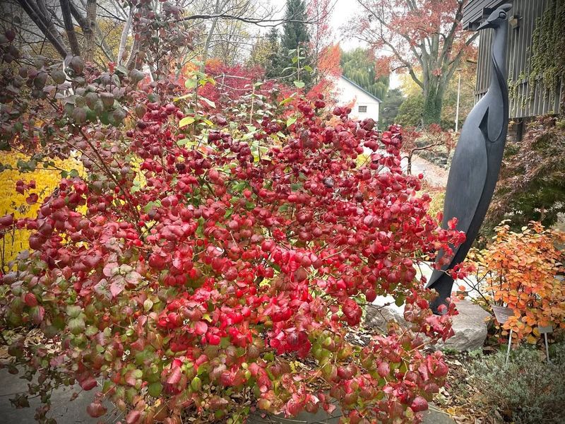 Perfect Size for Smaller New Hampshire Properties