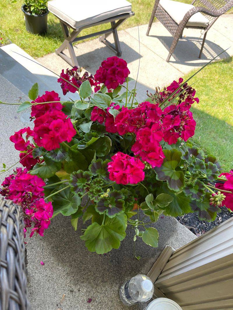 They Actually Save You Money