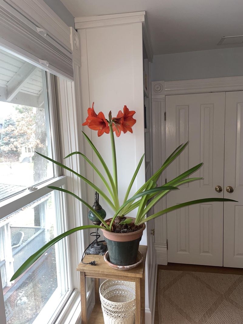 Stress-Free Growing Environment