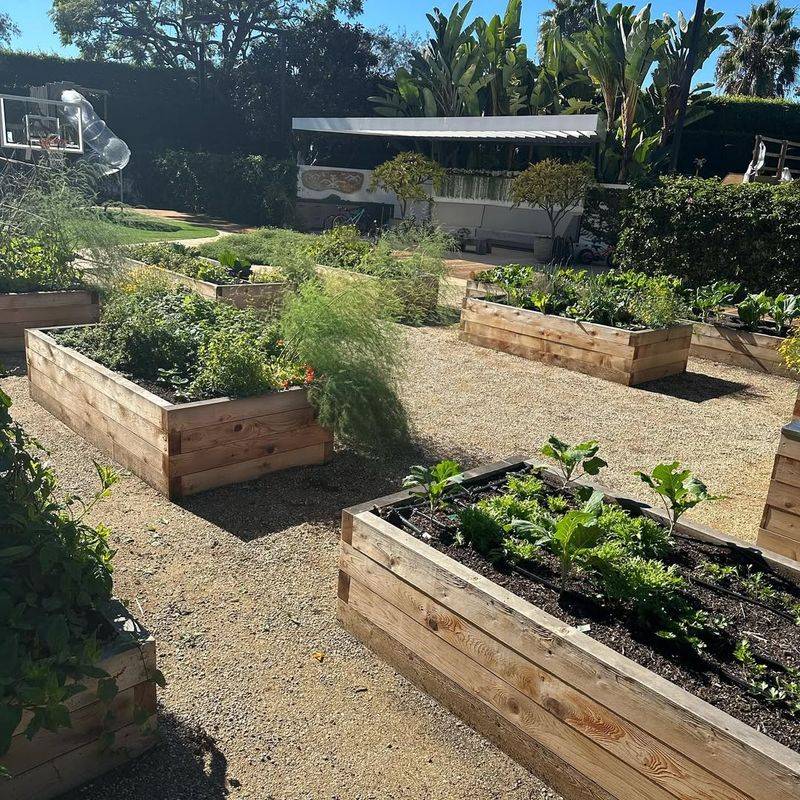 Lower Disease Pressure Benefits Plant Health