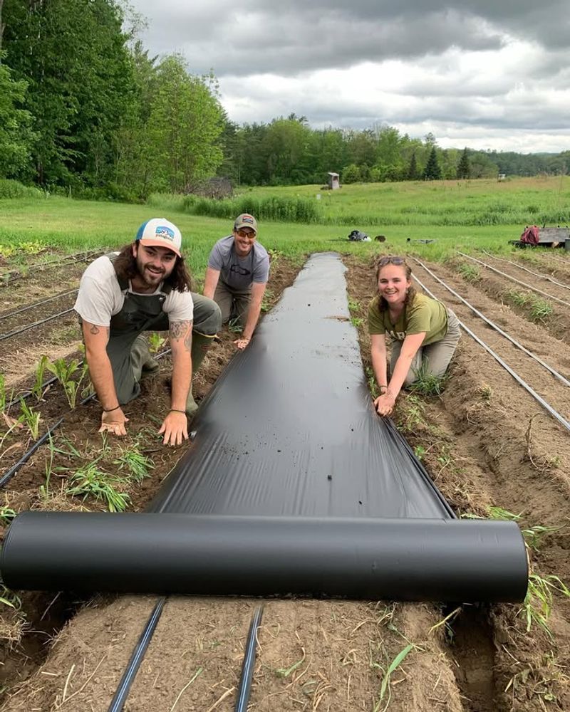 Temperature Boost Of 10-15 Degrees Fahrenheit