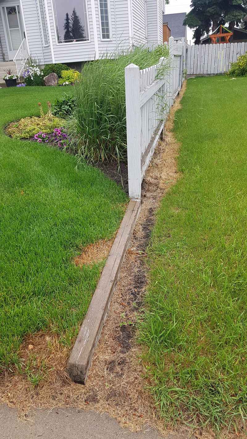 Weeds Hitch a Ride Over the Fence