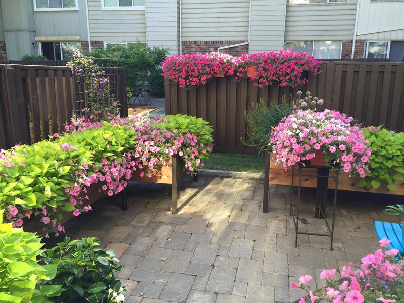 Budget-Friendly Beauty That Doesn't Break the Bank