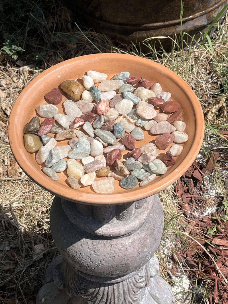 Water Sources Keep Pollinators Happy