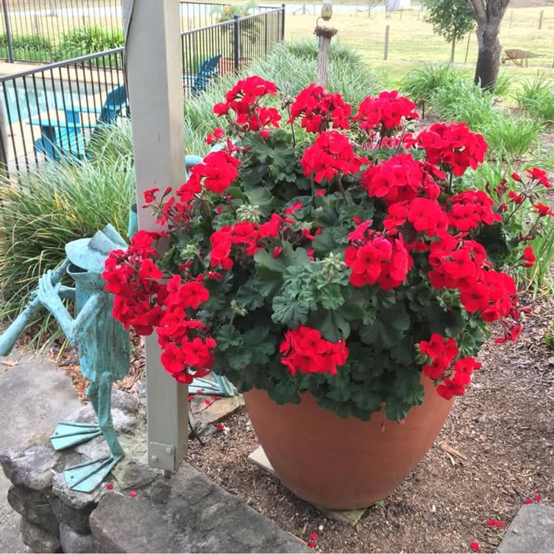 Deer And Rabbits Leave Them Alone