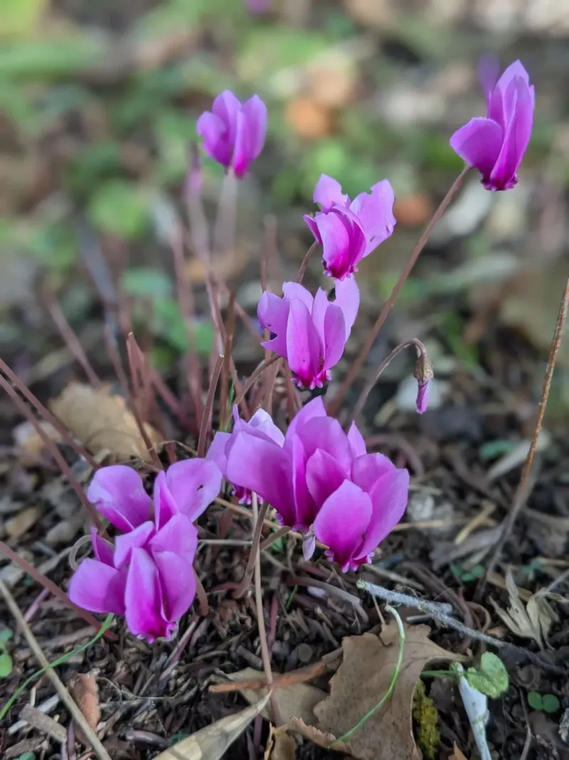 Handles Freezing Temperatures Like a Champion