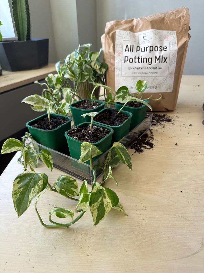 Reduce Fertilizer Applications During Rest Period