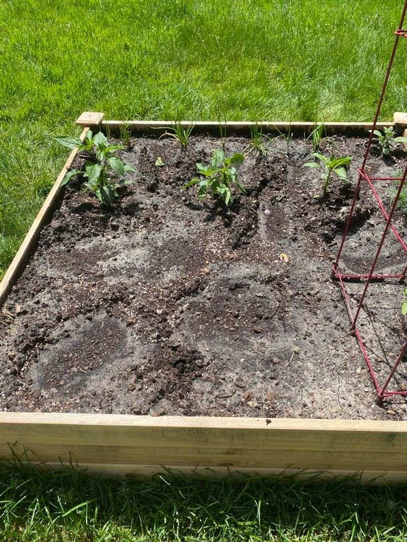 Improves Water Retention