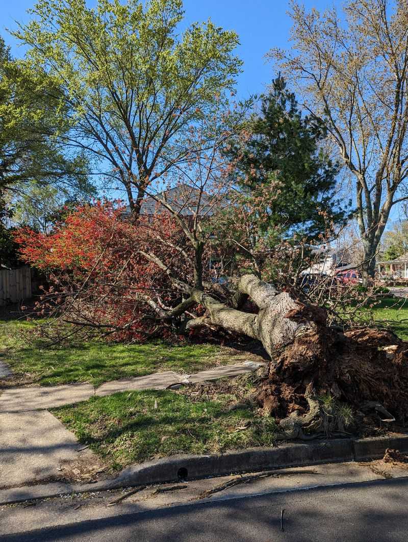 Local Ordinances Add Extra Requirements